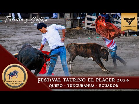 FESTIVAL TAURINO EL PLACER  - QUERO 2024 - SEGUNDA RONDA || TUNGURAHUA - ECUADOR