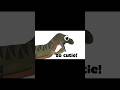 The Sound That A Baby T Rex Could Ve Made 🥹 So Cutie