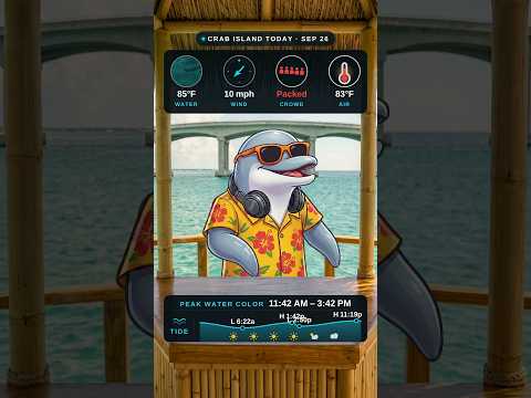 Today's daily report thumbnail