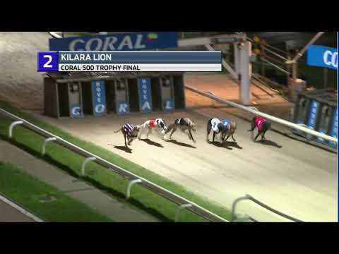 2020 CORAL 500 TROPHY FINAL - T2 KILARA LION