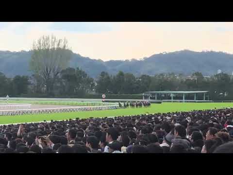 2018年10月14日 アーモンドアイ 秋華賞 現地観戦