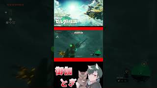 ゼル伝初心者が英雄になったあとの物語  216 #ゲーム実況 #shorts #short #ゲーム #ゼルダの伝説