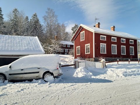 Avsnitt 11, 2023  Massor av snö men blomsådder ger hopp