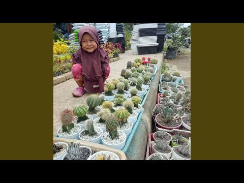 Generasi Penerus Impian