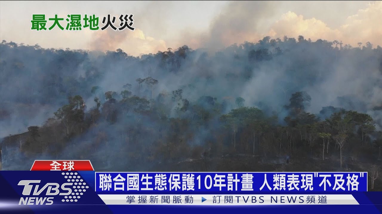 巴西山火燒掉2/3個台灣! 全球最大濕地變火葬場