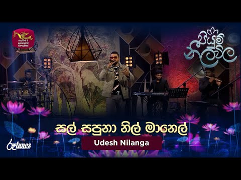 Sal Sapuna Nil Manel | සල් සපුනා නිල් මානෙල්  | Udesh Nilanga |Piyum Neela Vila | Roo Tunes