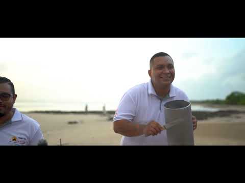 Tongoneaito (cover) Dimensión Costeña - Guanacaste-Costa Rica