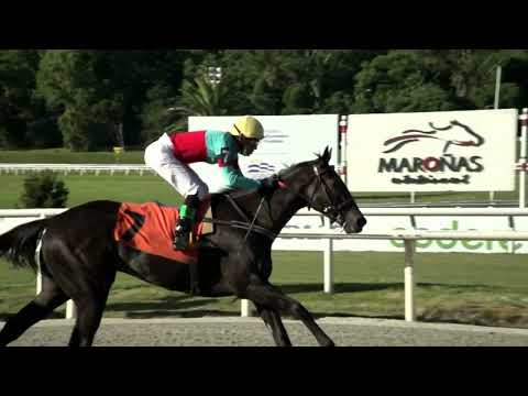 220312 c06 REGISTRADA JOY (ARG)