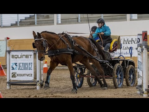 Jednospřeží (1. kolo), Zimní jezdecký pohár 2022, Slatiňany 12. 2. 2022