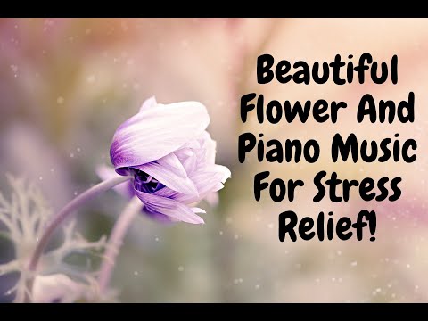 Throw Stress Away With Relaxing Piano Music Beautiful Flower -Stress Relief music