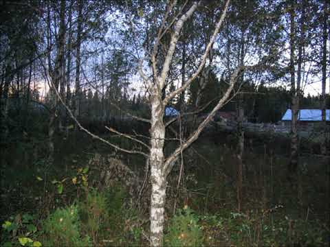 Podcast 4 osa 2 - vielä visakossa