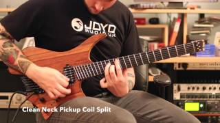 Video thumbnail for Strandberg Boden OS 6 Paul Masvidal Signature Demo by acoombesmusic