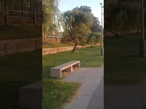 SANTA fe de la Vera Cruz.