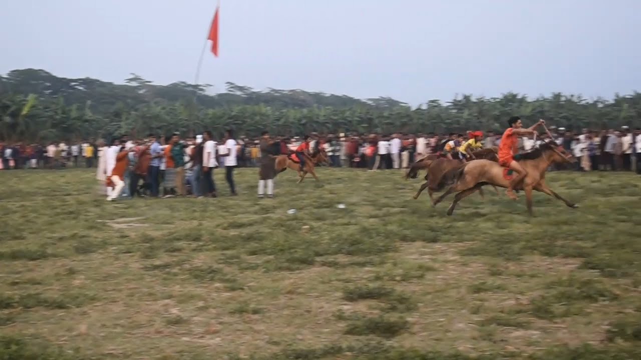 ঈদ উপলক্ষে ঝালকাঠিতে ঘোড়দৌড় প্রতিযোগিতা