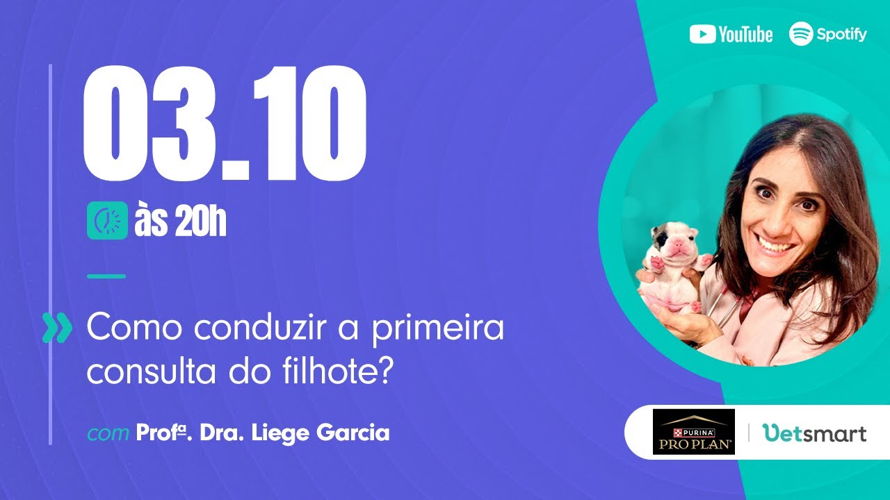 Como conduzir a primeira consulta do filhote?