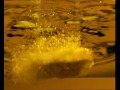 Sajiku Tepung Bumbu Sajiku Fun Cooking 30s
