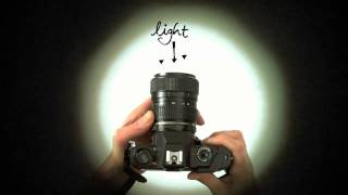 Know Your Camera - A Beginner's Photography Tutorial