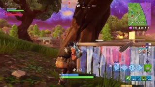 ［FORTNITE] 流行りに乗っかりドンカツ！［PS4］