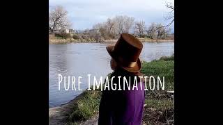 Pure Imagination