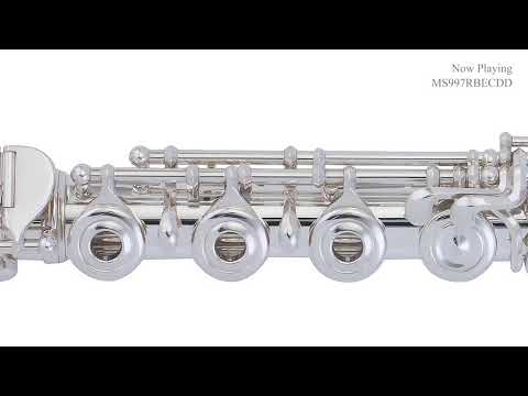 Pearl Maesta MS997RBECD Vivo hj