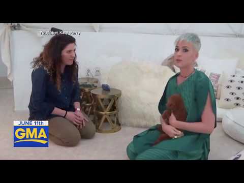 Katy Perra y sus problemas con la comunidad de vecinos.