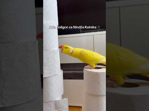 Kako je ovoo uzbudljivo 🤩🤩🙈