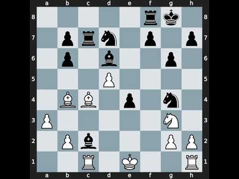 Thal Abergel(2520) vs Vladimir Burmakin(2594) | Event: 2nd Lille Open | 2011.04.29