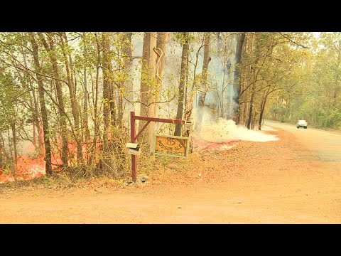 Fire razes eastern Australia | AFP