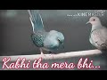 Best Love Sad Whatsapp Status Jee Ve Sohneya Jee Song Whatsapp Status