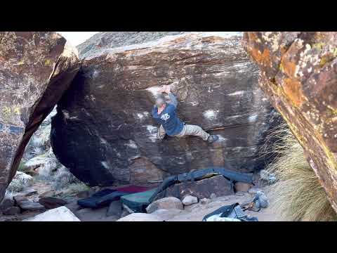 White Rabbit v7 - Moe's Valley (Monkey Boy)