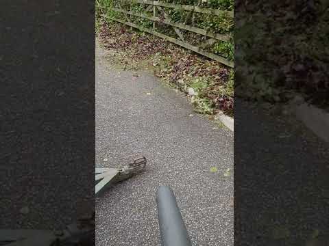 Husqvarna 120ib blower