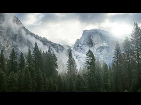 Arda Leen & Reиovatio - Abyss