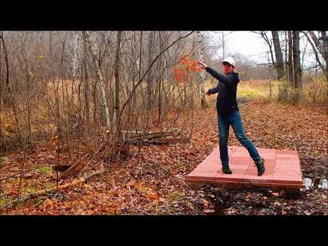 Innova Archon Review + Giveaway