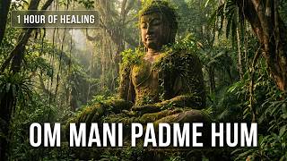 Download lagu 1 Hour Om Mani Padme Hum | Powerful Negative Energy Removal & Protection mp3 Download lagu 1 Hour Om Mani Padme Hum | Powerful Negative Energy Removal & Protection mp3
