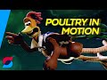 Why Chicken Run Is The Greatest Film Ever Made