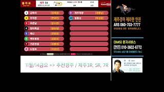 제주경마 안진 11월 14일 금요방송