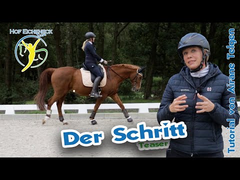 Schritt reiten - Die schwierigste Gangart des Pferdes | Dressur Lektionen und Pferdegesundheit