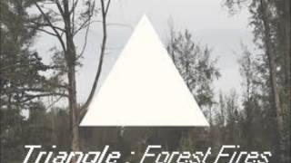 Triangle - Forest Fires