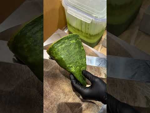 パリッパリ食感がたまらない！罪深すぎるる抹茶ブリュレクレープ！ 鎌倉にある寿清庵さんでは生地にふんだんに抹茶を使用した抹茶クレープをブリュレした絶品クレープがたべられる #japanesefood