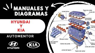 Soporte