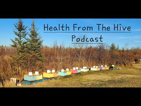 Propolis, What is it and what are its health benefits?