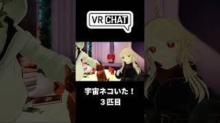 宇宙ネコ(本物)がいた！3匹目#VRSNS #vrchat