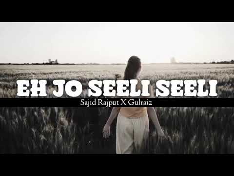 Eh Jo Seeli Seeli (Mashup) - Naseebo Lal x Bohemia