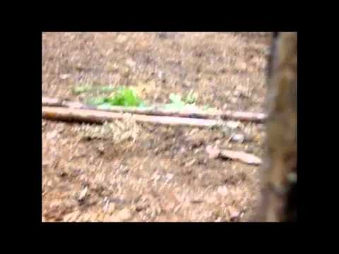 Ground Zero Weekender Trailer 2011