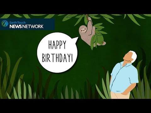 On his 90th birthday, 9 things we love about David Attenborough