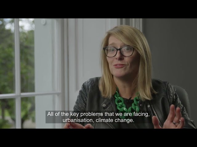 City Planning & Environment Policy - DN130