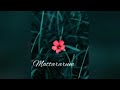 Malayalam Movie Song WhatsApp Status