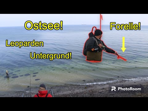 Sea trout fishing in the Baltic Sea! Tips and tricks! We caught 3 sea trout in 10 minutes! Amazing!!