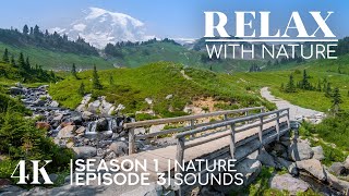 Amazing 4K Views of Best Scenic Locations + Soothing Nature Sounds - RELAX WITH NATURE - S1 Ep 3