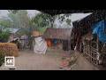 ️Heavy Rain In Village Relaxing Monsoon ASMR